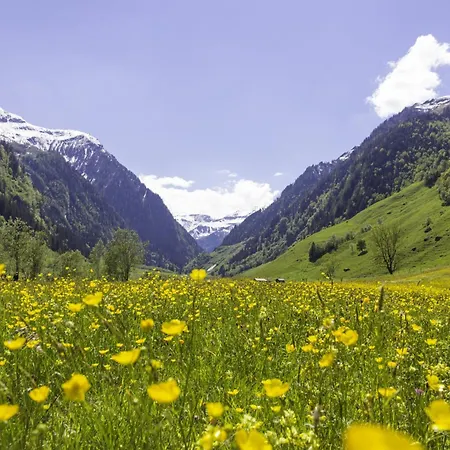 公寓 Hochalmbahnen Chalets 6W2, Erle, Nahe Gondel, Hunde Willkommen *