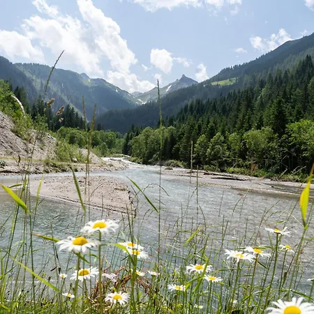 Hochalmbahnen Chalets 6W2, Erle, Nahe Gondel, Hunde Willkommen