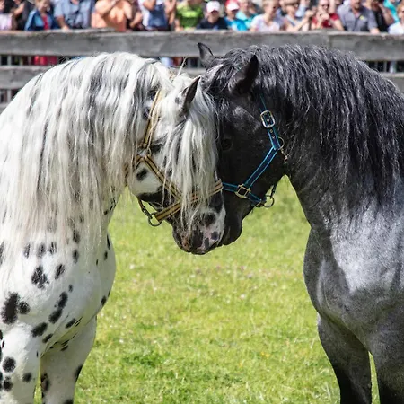 Daire Hochalmbahnen 6w2, Erle, Nahe Gondel, Hunde Willkommen *
